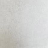 【ts20320】Tシャツ レディース 半袖 | KawaiCat | 詳細画像9 