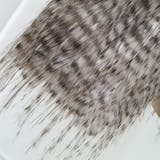 ジャケット レディース フェイクファー | KawaiCat | 詳細画像12 