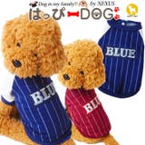 犬 服 犬服 犬の服 シャツ ストライプ BLUE ドッグウェア | K-city | 詳細画像1 