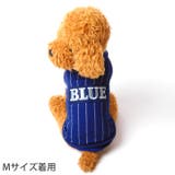 犬 服 犬服 犬の服 シャツ ストライプ BLUE ドッグウェア | K-city | 詳細画像2 