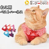 猫 ハーネス かわいい | K-city | 詳細画像1 