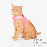 猫 ハーネス かわいい | K-city | 詳細画像3 