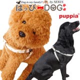 PUPPIA パピア 正規品 | K-city | 詳細画像1