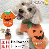 犬 服 犬服 | K-city | 詳細画像1