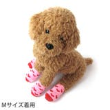 犬 靴下 ルームソックス | K-city | 詳細画像2 