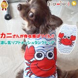 犬 服 犬服 犬の服 タンクトップ カニ ライト メッシュ ドッグウェア | K-city | 詳細画像1