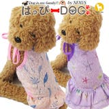 犬 服 犬服 | K-city | 詳細画像1 