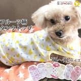 犬 服 犬服 犬の服 タンクトップ フルーツ柄 リゾート ドッグウェア | K-city | 詳細画像1