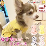 犬 服 犬服 | K-city | 詳細画像1 