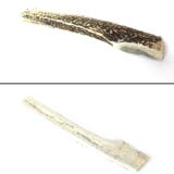 鹿の角 半割 北海道 | K-city | 詳細画像2 