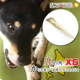 鹿の角 北海道 鹿角 | K-city | 詳細画像1