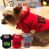 犬 服 ヨークシャーテリア | K-city | 詳細画像1