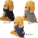 犬 服 犬服 | K-city | 詳細画像11 