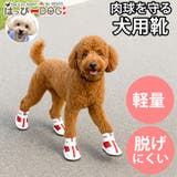 犬靴 靴下 ソックス | K-city | 詳細画像1