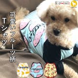 犬 服 犬服 | K-city | 詳細画像1 