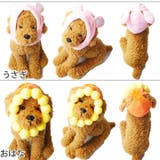 犬 服 犬服 | K-city | 詳細画像9 