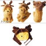 犬 服 犬服 | K-city | 詳細画像10 