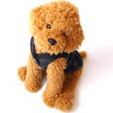 犬 服 犬服 | K-city | 詳細画像4 