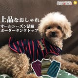 犬 服 犬服 犬の服 タンクトップ ボーダー ドッグウェア | K-city | 詳細画像1 