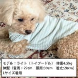 犬 服 犬服 犬の服 タンクトップ ボーダー ドッグウェア | K-city | 詳細画像2