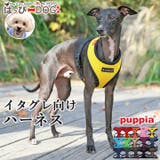 ハーネス 胴輪 イタグレ | K-city | 詳細画像1 