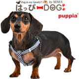 ハーネス 胴輪 PUPPIA | K-city | 詳細画像1
