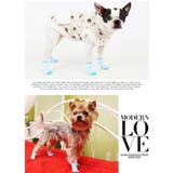 犬靴 靴 靴下 | K-city | 詳細画像2