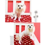 犬靴 靴 靴下 | K-city | 詳細画像4