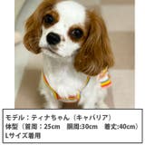 犬 服 犬服 | K-city | 詳細画像2 