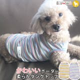 犬 服 犬服 犬の服 タンクトップ ボーダー カラフル ドッグウェア | K-city | 詳細画像1