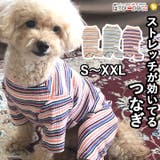 犬 服 犬服 | K-city | 詳細画像1 