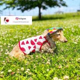 犬 服 犬服 犬の服 キャミソール フルーツ柄 ドッグウェア | K-city | 詳細画像2