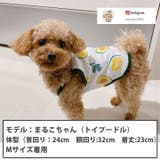 犬 服 犬服 犬の服 キャミソール フルーツ柄 ドッグウェア | K-city | 詳細画像3