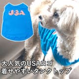 犬 服 犬服 犬の服 USAロゴ タンクトップ ドッグウェア | K-city | 詳細画像2 