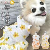 犬 服 犬服 犬の服 フルーツ柄 ワンピース キャミソール ドッグウェア | K-city | 詳細画像1