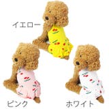 犬 服 犬服 犬の服 フルーツ柄 ワンピース キャミソール ドッグウェア | K-city | 詳細画像4