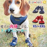 犬 靴 犬靴 | K-city | 詳細画像1 