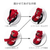 犬 靴 犬靴 | K-city | 詳細画像8 