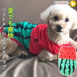 トイプードル 犬 服 | K-city | 詳細画像1