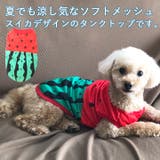 トイプードル 犬 服 | K-city | 詳細画像2