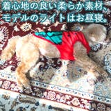 トイプードル 犬 服 | K-city | 詳細画像4