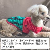 トイプードル 犬 服 | K-city | 詳細画像5