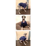 イタグレ 犬 服 | K-city | 詳細画像7 