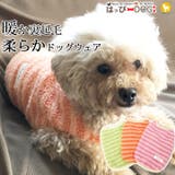 犬 服 犬服 | K-city | 詳細画像1