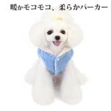 犬 服 犬服 | K-city | 詳細画像2