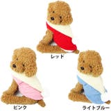 犬 服 犬服 | K-city | 詳細画像5