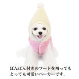 犬 服 犬服 | K-city | 詳細画像10