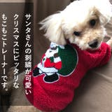 犬 服 犬服 | K-city | 詳細画像2
