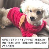 犬 服 犬服 | K-city | 詳細画像3 