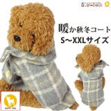 犬 服 犬服 | K-city | 詳細画像1 